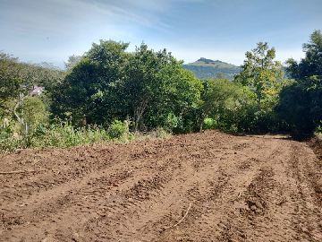Terreno: 12,5X80 mt