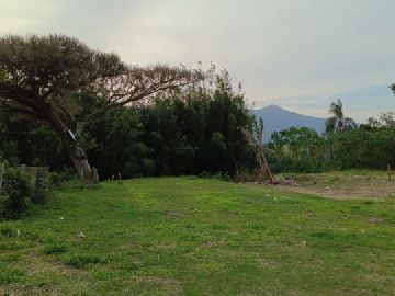 �rea total: 992,87 m�