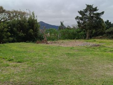 �rea total: 992,87 m�