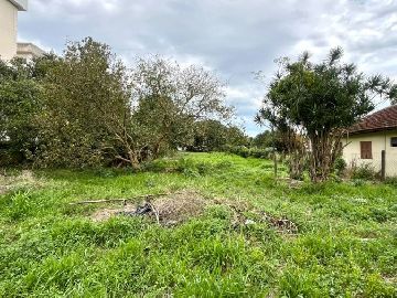 �rea de 2.045 m�