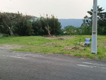 �rea total: 992,87 m�