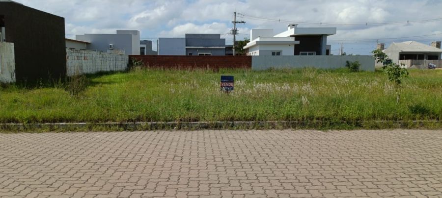 Terreno - Venda - Campestre - Os�rio - RS