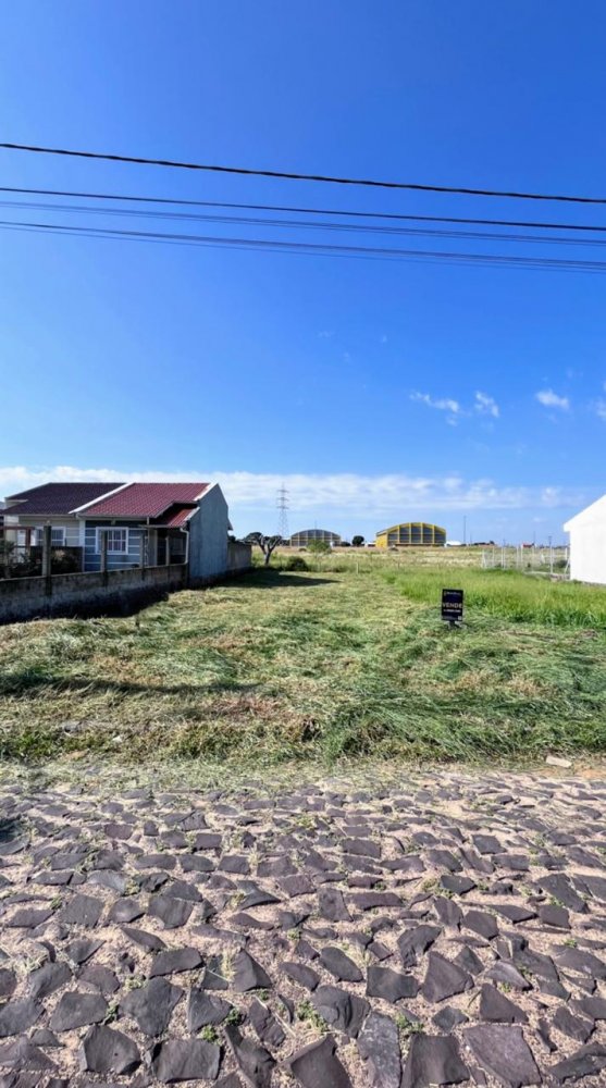 Terreno - Venda - Panor�mico - Os�rio - RS