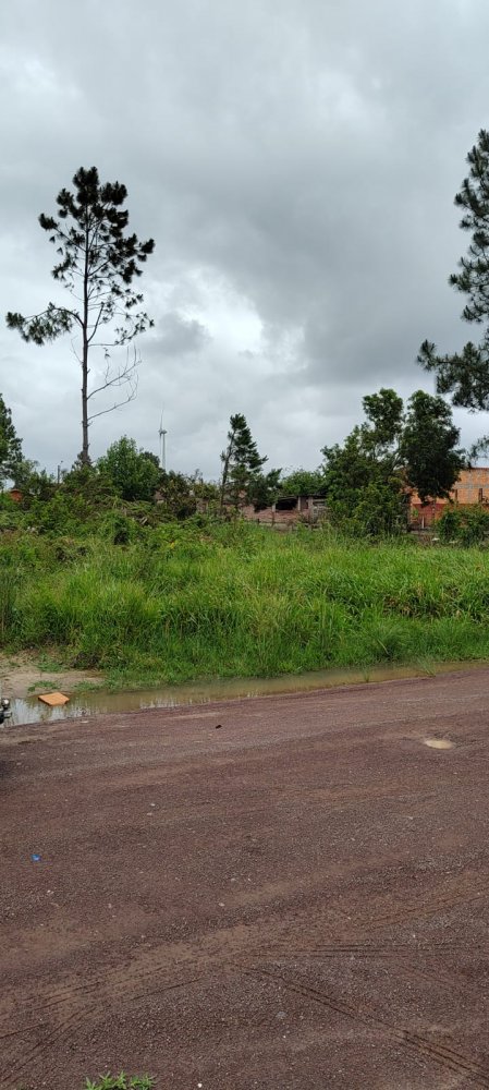 Terreno - Venda - Serramar - Os�rio - RS