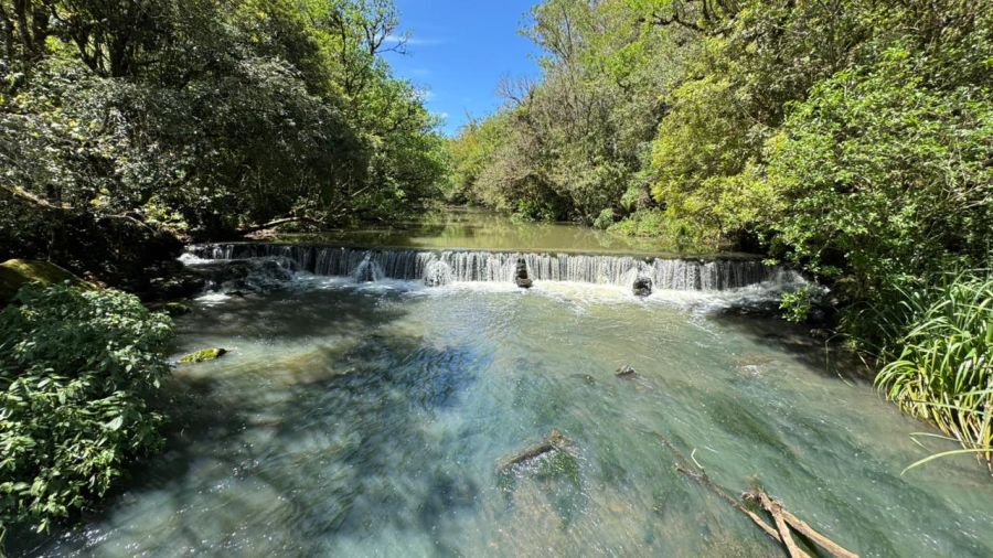 Terreno - Venda - Bor�ssia - Os�rio - RS