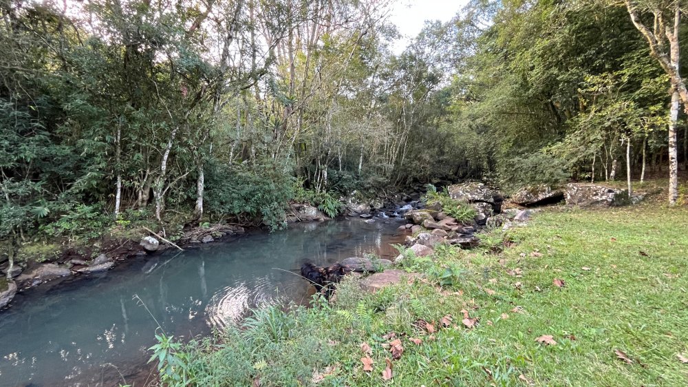 Pousada - Venda - Bor�ssia - Os�rio - RS