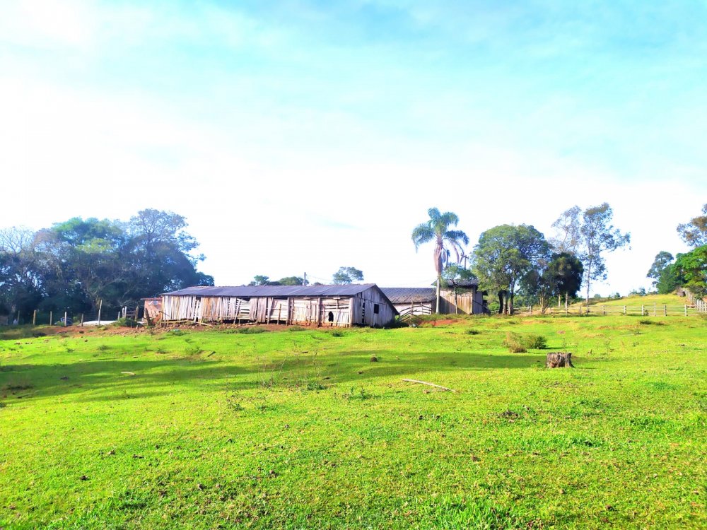 Ch�cara - Venda - Morro da Bor�ssia - Os�rio - RS
