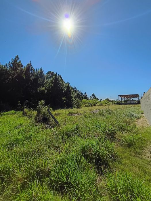 Terreno - Venda - Bosques do Albatroz - Os�rio - RS