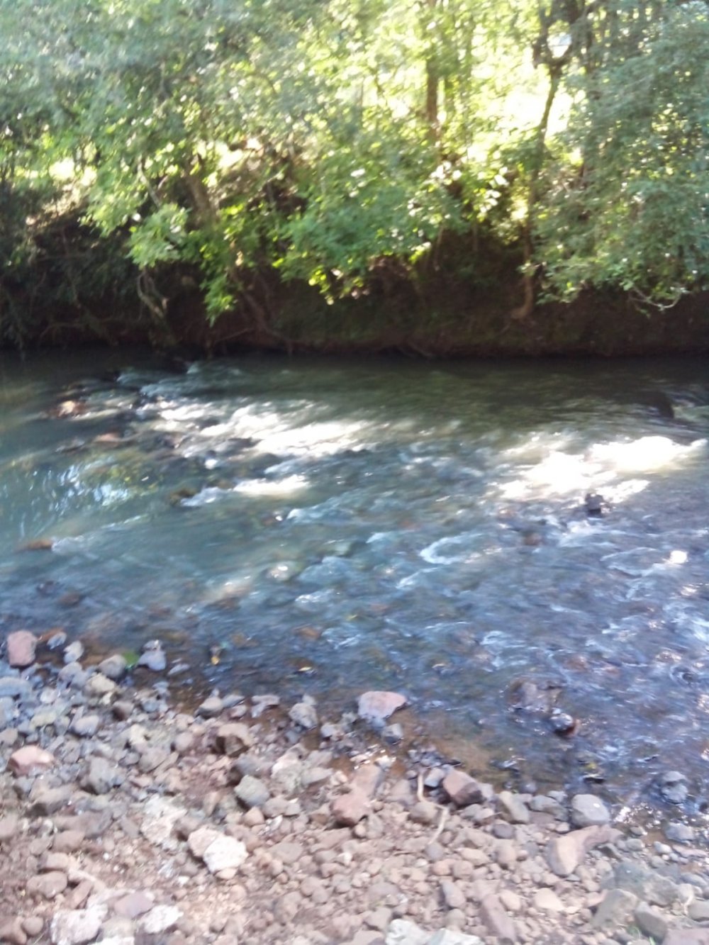 S�tio - Venda - Col�nia Mousquer - Entre-Iju�s - RS