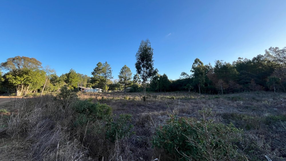 Terreno - Venda - Bor�ssia - Os�rio - RS