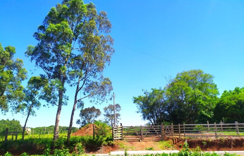 Terreno - Venda - Borr�ssia - Os�rio - RS