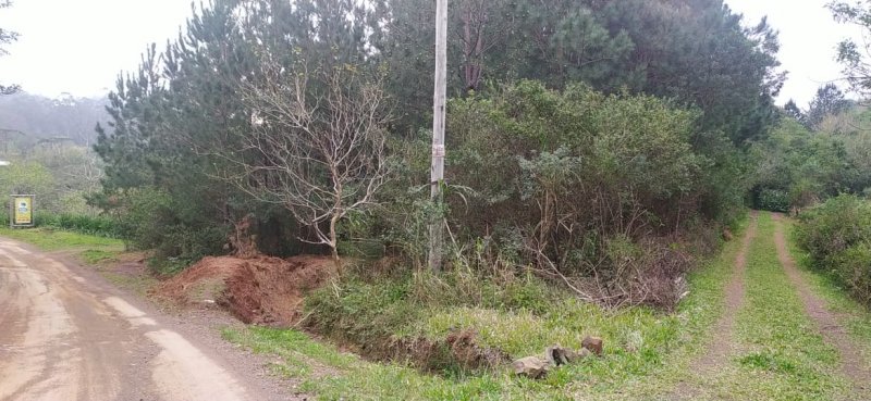 Rural - Venda - Morro da Bor�ssia - Os�rio - RS
