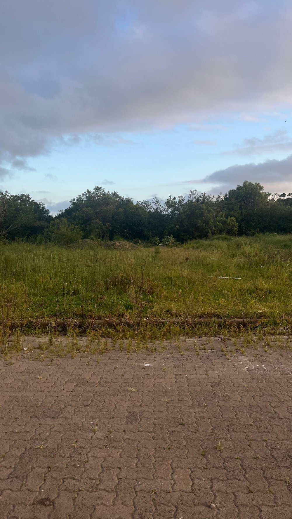 Terreno - Venda - Gl�ria - Os�rio - RS