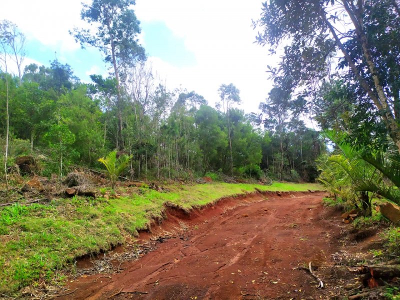 Rural - Venda - Morro da Bor�ssia - Os�rio - RS