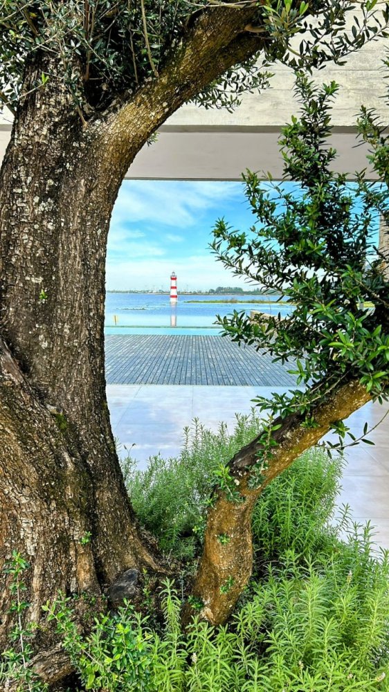 Lote - Venda - Marina Del Faro - Osório - RS