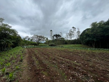 �rea de Terra em Maquin�