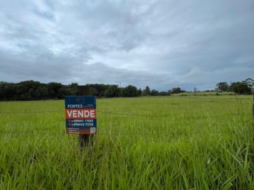 Fortes Im�veis Vende - Terreno no Palmital