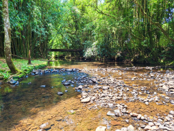 Fortes Im�veis Vende S�tio em Santo �ntonio da Patrulha - RS