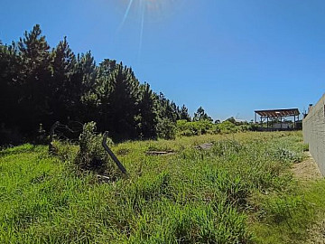 Fortes Im�veis Vende - Terreno no Bosque do Albatroz