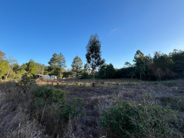 Fortes Im�veis Vende Terreno no Morro da Borussia em Os�rio