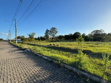 Fortes Im�veis Vende Terreno no Bosque de S�o Miguel
