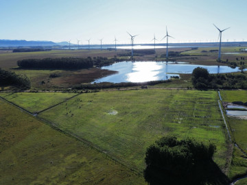 Fortes Im�veis Vende �rea com 05 Hectares em Os�rio/RS