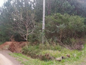 7 hectares